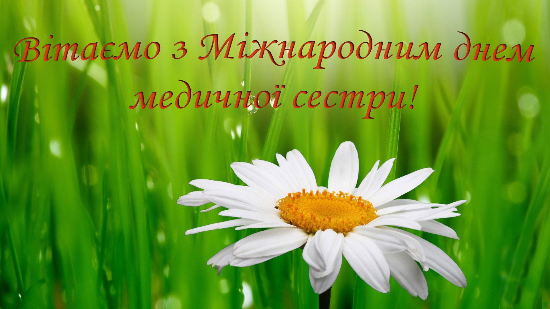 З Міжнародним Днем медичної сестри!